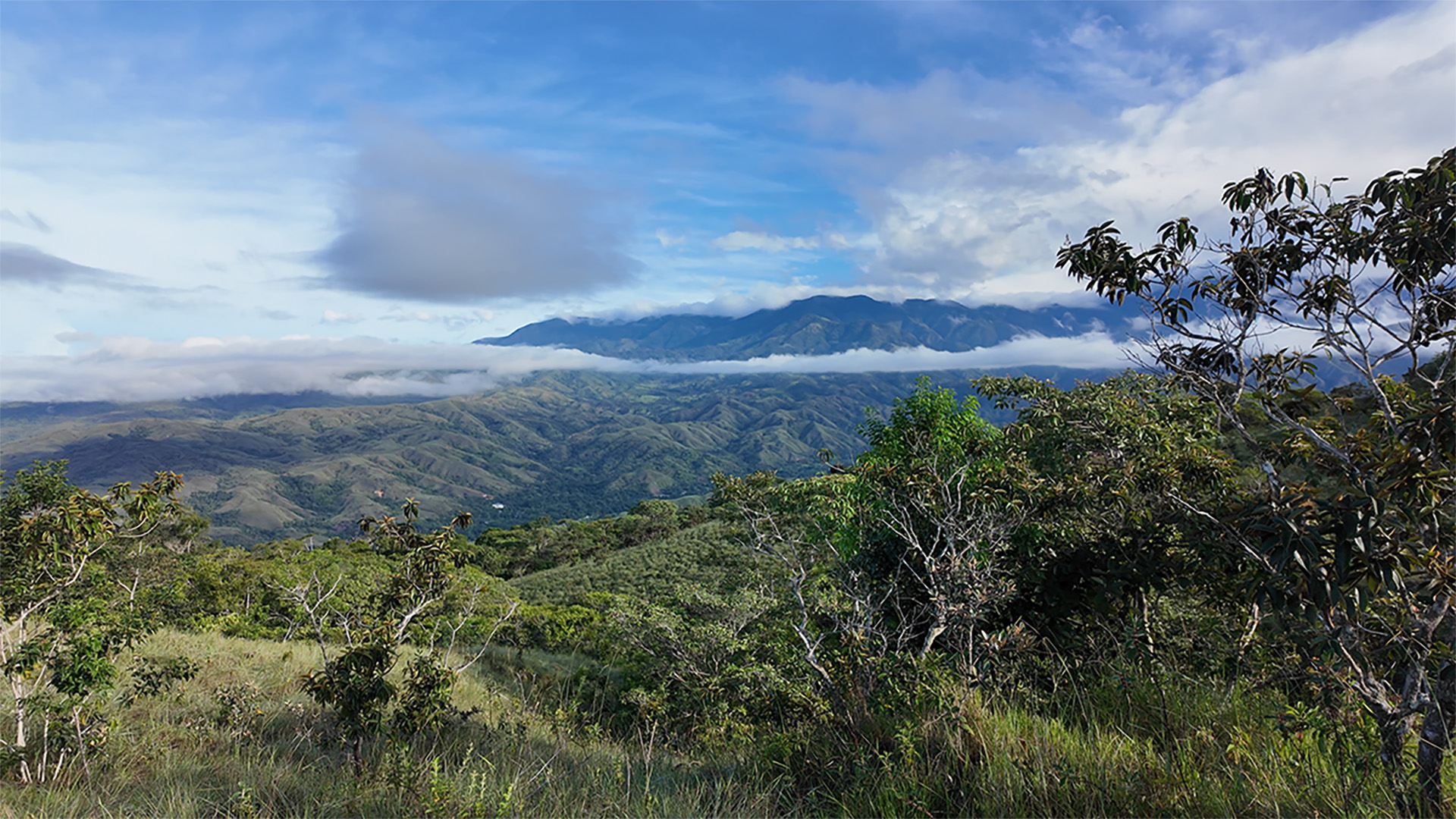 Salitre Savanna Landscape